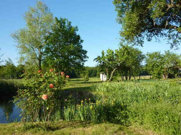 Maison Dans Belle Longere - La Serrerie Le Controis-en-Sologne Buitenkant foto